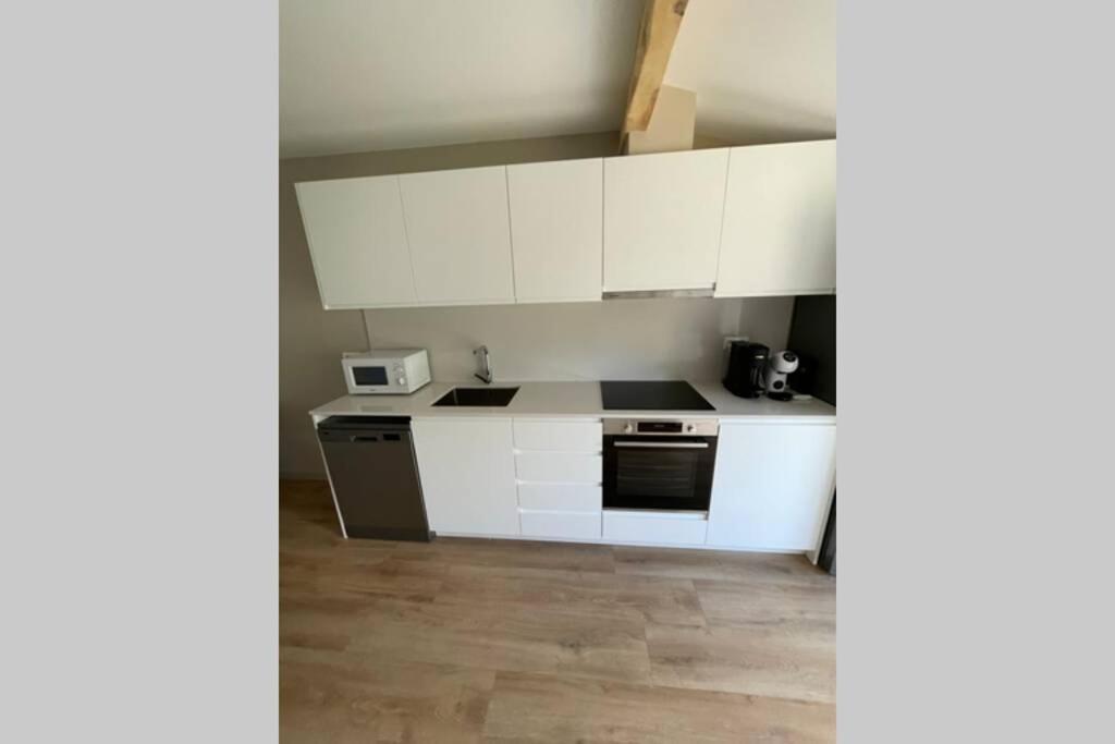 New Construction Penthouse With Pool And Wifi Apartment Osséja Екстериор снимка